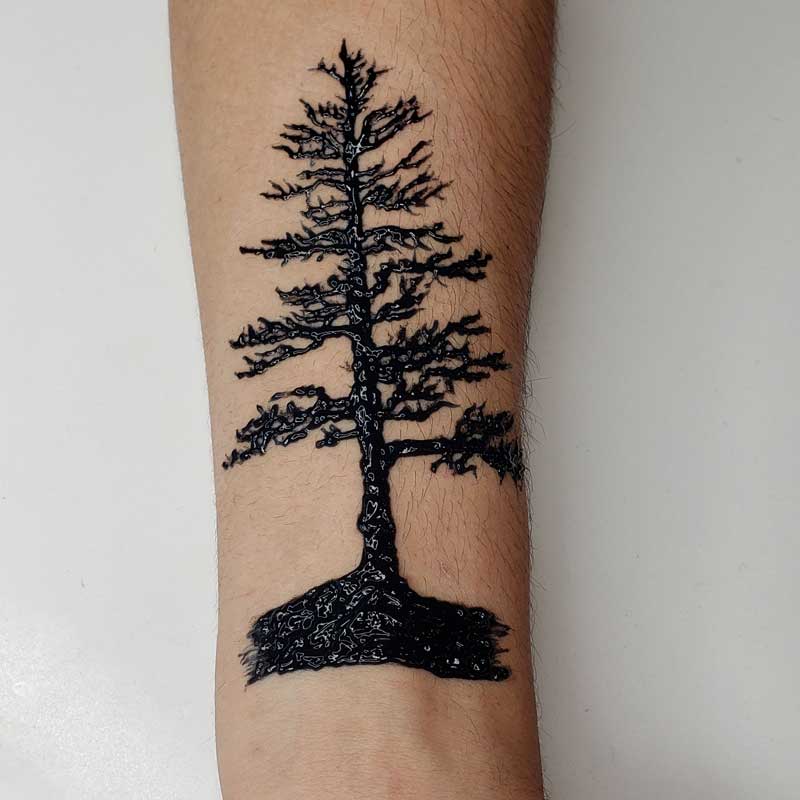 Pine tree realistic temporary tattoo made with a henna stencil and black jagua ink. Unlike black henna, jagua ink is 100% natural and safe.